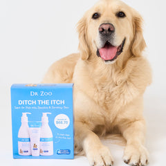 Dr Zoo - Ditch the Itch