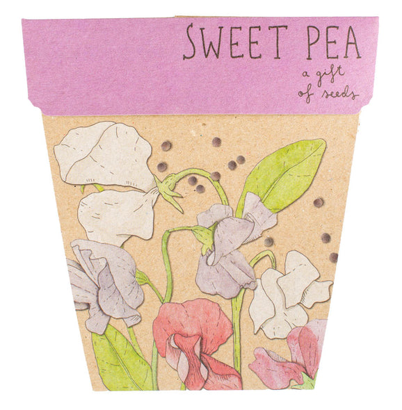 Sow n Sow - Gift of Seeds - Sweet Pea