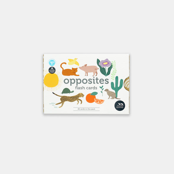 Two Little Ducklings - Opposites - Flash Cards