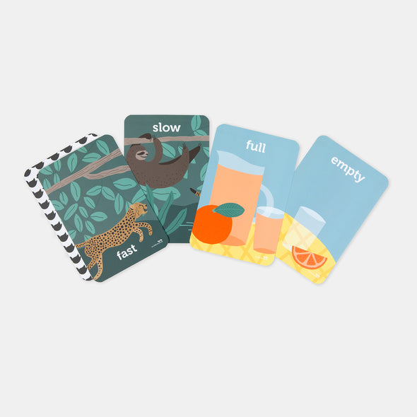 Two Little Ducklings - Opposites - Flash Cards