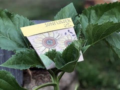 Sow N Sow - Gift of Seeds - Sunflower