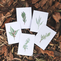Notely - Botanical Card Set (Box of 10)