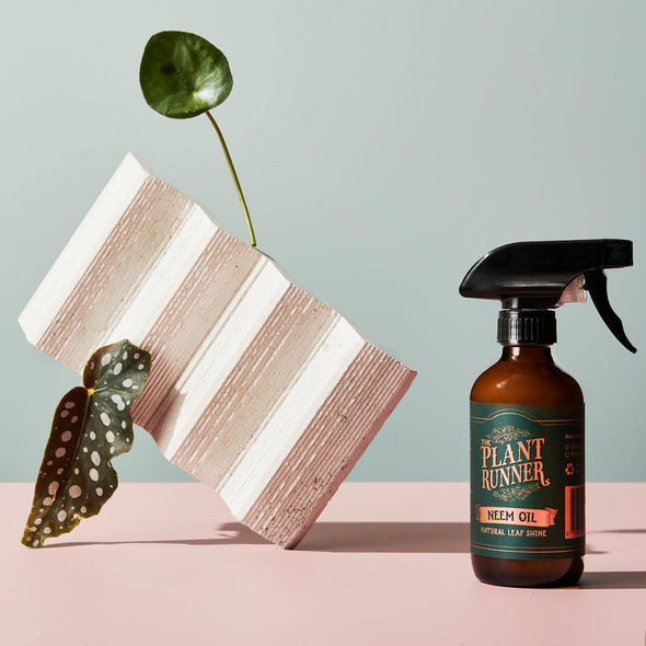 The Plant Runer - Neem Oil